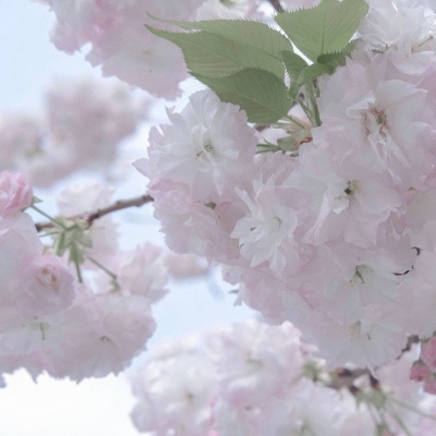 兽设动态姿势绘画参考兽圈社群